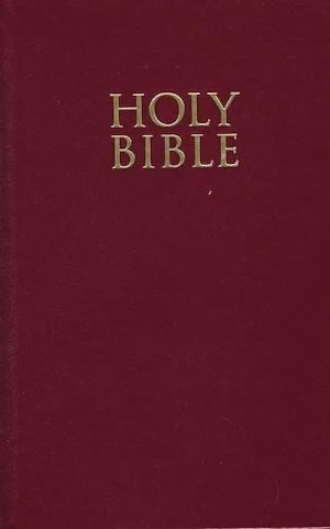 Book cover of «The Bible» by 